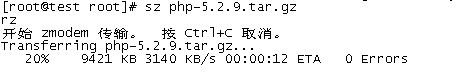 SecureCRT rz sz命令使用_上传文件_09